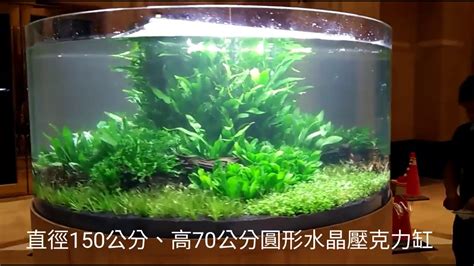 圓形魚缸造景|【羅賓先生】超大圓形壓克力水草缸造景 搶先紀錄